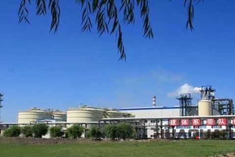 『隨華全，觀天下』 ——走進綏化