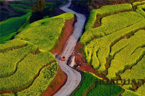 知道“油菜花之鄉”嗎？羅平好地方，華全發貨忙！