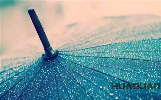 五月的雨，灑遍濰坊，鮮活了一座城，清新了城里的華全人