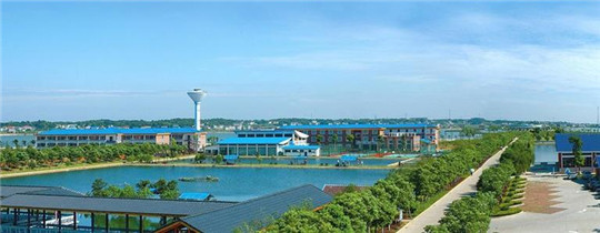 專業巡檢,熱心服務!華全發電機組助力養殖企業溫暖過冬!